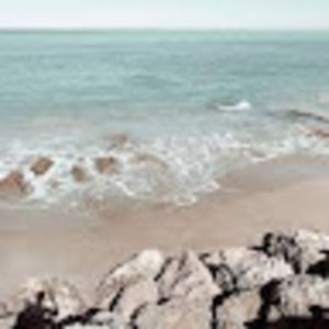 Meet your Posher, Addie